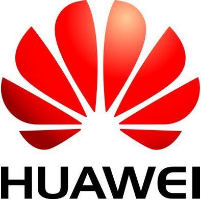 Actual product image Huawei SSD N480ssdw3, 480gb (480 GB, 2.5")