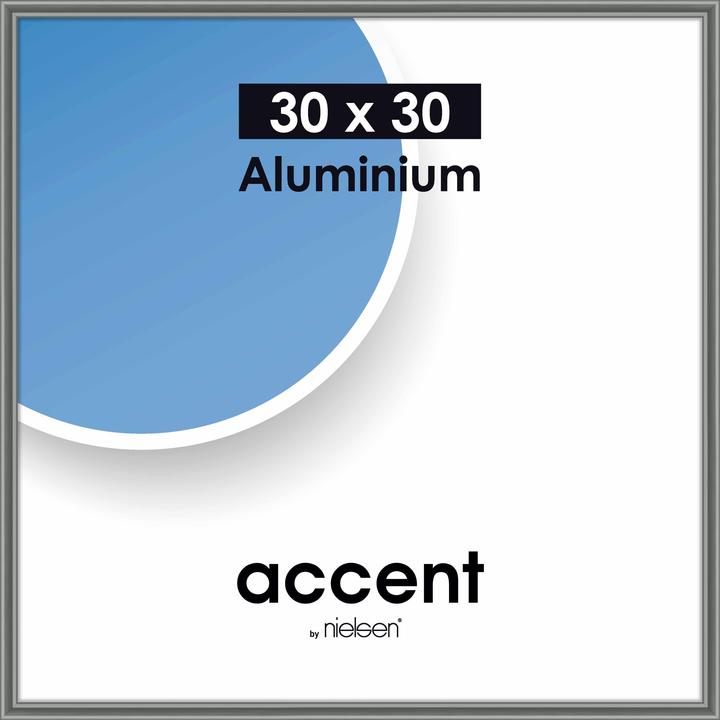 Gris acier