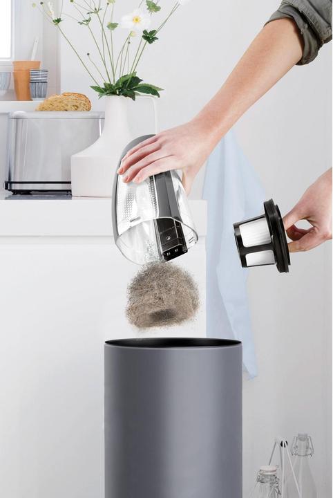 Image du produit Bissell Pet Hair Eraser ION