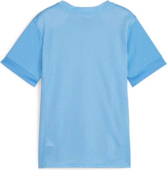 Actual product image Puma teamGOAL Matchday Jersey jr (128)