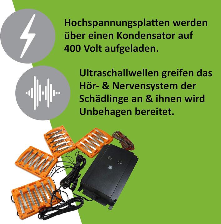 Image du produit Isotronic Dissuasion des martres 3en1