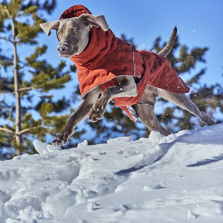 Actual product image Hurtta Extreme Warmer V3 Eco Black, 35 cm (35, Dog coat)