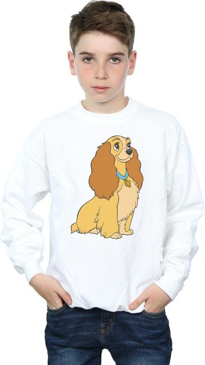 Actual product image Disney Boys Lady And The Tramp Lady Spaghetti Heart Sweatshirt (140, 146)