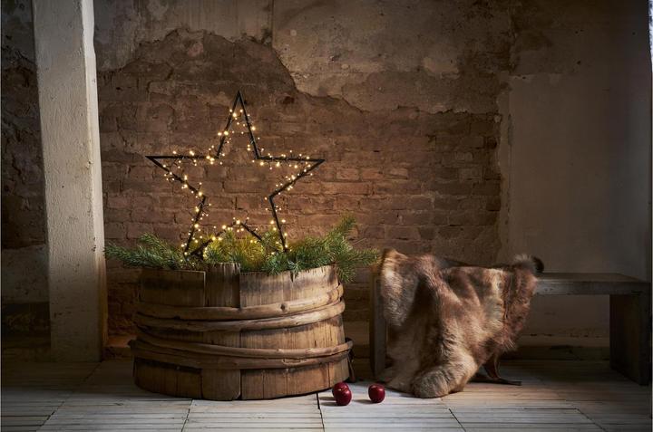 Actual product image Star Trading Star Spiky