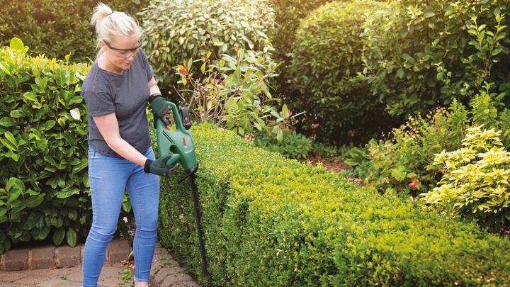 Image du produit Bosch Home & Garden EasyHedgeCut 18-45 Set (Taille-haies sans fil)