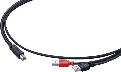 Produktbild Pioneer DJC-WeCai, Dual-USB Kabel für DDJ-WeGo / Ergo