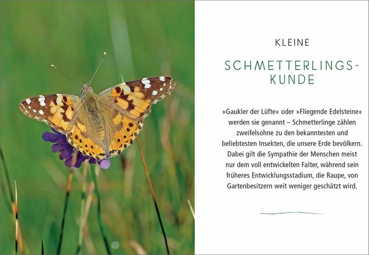 Produktbild Ein Gartenparadies für Schmetterlinge. Die schönsten Blumen, Stauden, Kräuter und Sträucher für (Deutsch, Ursula Kopp, 2020)