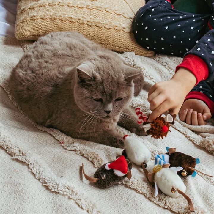 Produktbild Red Dingo DINGO Katzenspielzeug (Spielmaus Katze)