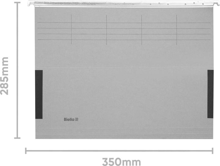 Image du produit Biella ORIGINAL Dossier suspendu avec grenouille (pli latéral) (A4, 1 x)