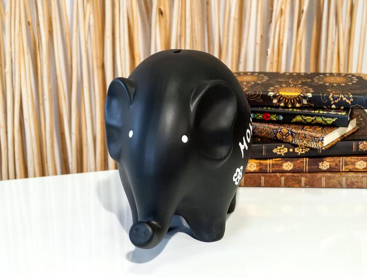 Actual product image Pajoma Elephant