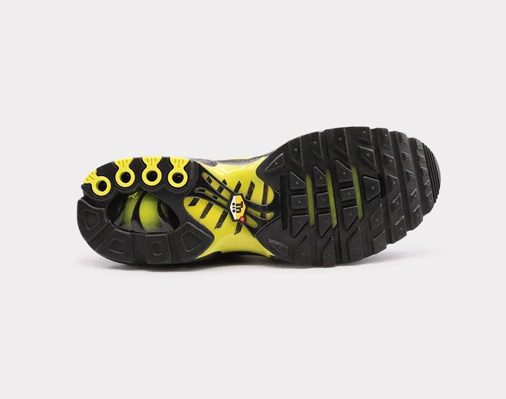 Actual product image Nike Air Max Plus (42)