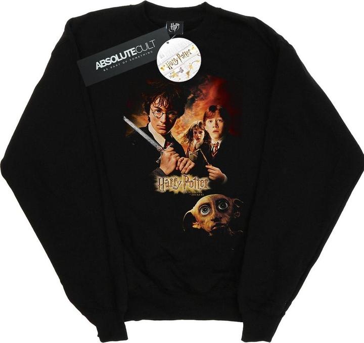 Actual product image Mens Chamber Of Secrets Poster Sweatshirt (XL)