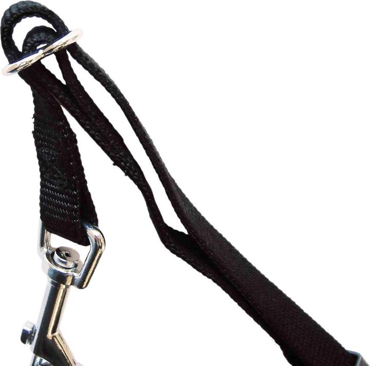 Immagine prodotto Trixie Imbracatura dell'auto (Cane, Riflettori)