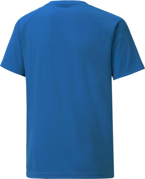 Image du produit Puma teamLIGA Jersey rayé Jr-704927 (152)