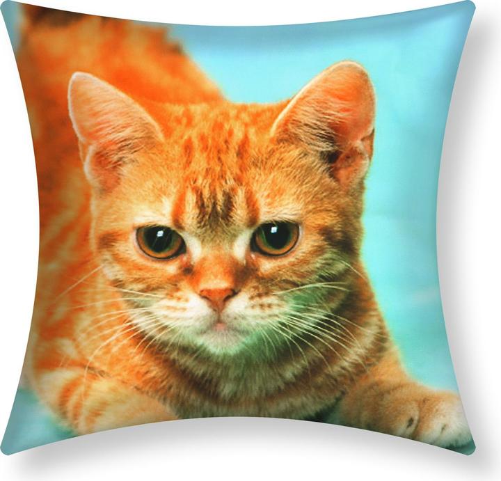 Produktbild Avizar 2 Stk. Kissenbezüge Gelbe Katze (40 x 40 cm)