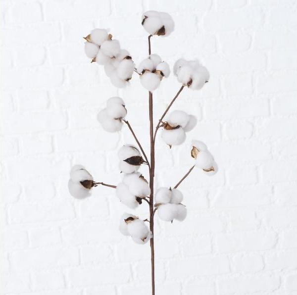 Produktbild Boltze Home Baumwolle (68 cm)