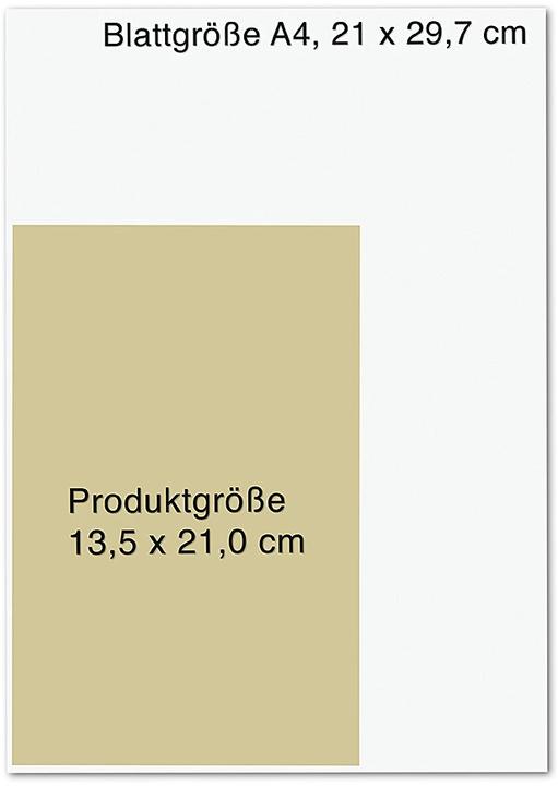 Produktbild (Fast) Alles einfach erklärt (Deutsch, Niklas Kolorz, 2022)
