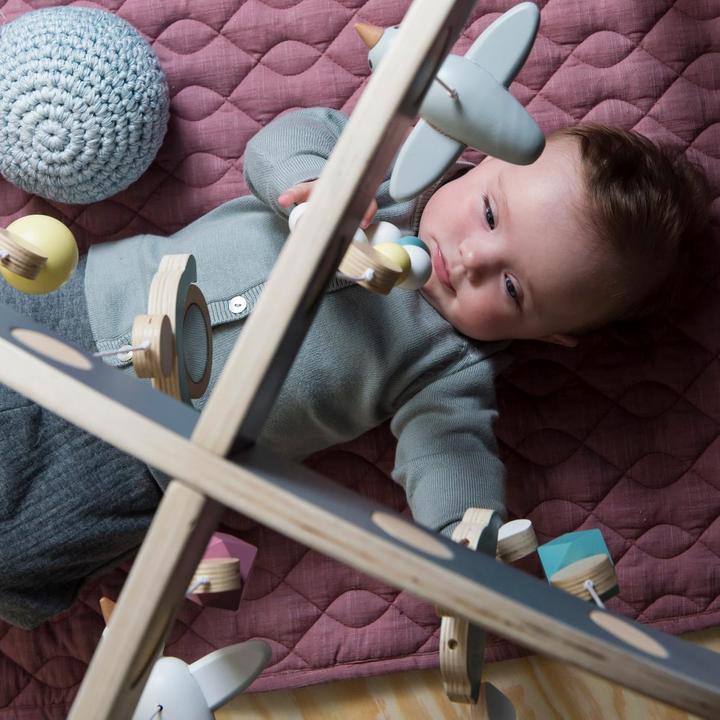 Immagine prodotto Sebra Palestra per bambini