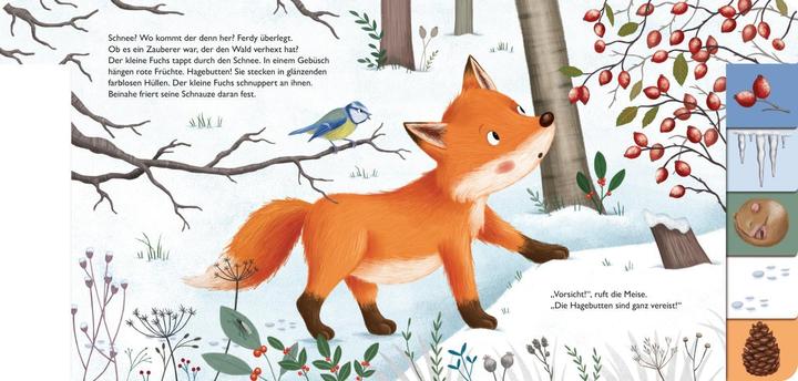 Image du produit Mon premier livre de saisons : Ferdy, le petit renard (Allemand)