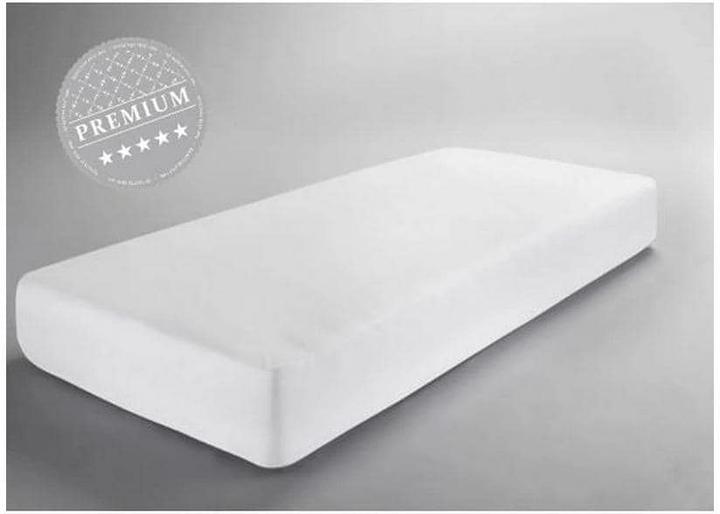 Image du produit Dormisette Aqua (200 x 200 cm)