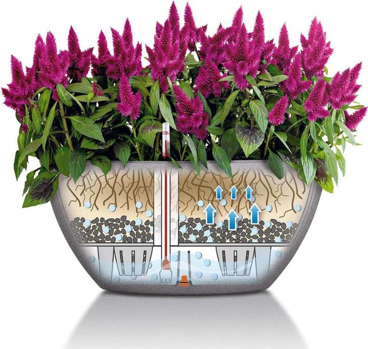 Immagine prodotto Lechuza Cubeto Colore (30 cm)