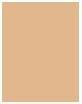 Image du produit Estée Lauder Double Wear Stay In Place (1W de lumière (chaud))