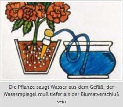 Image du produit Blumat Goutteur final XL (Cône d'argile)