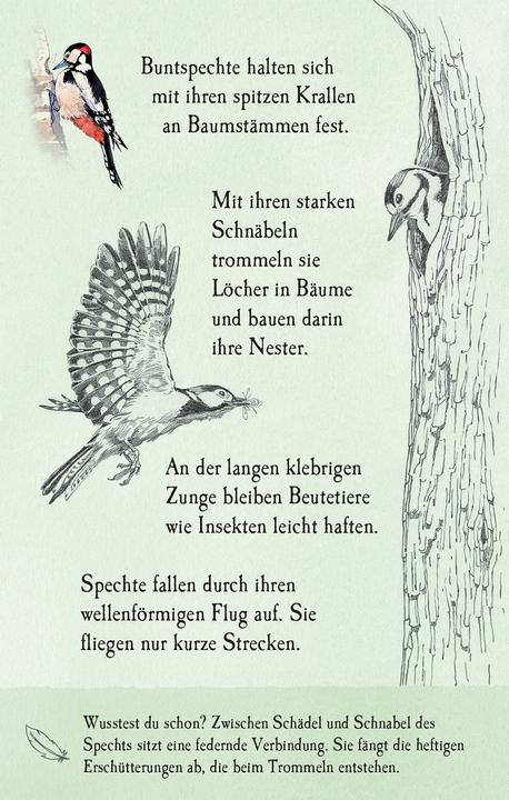 Produktbild Natur-Entdecker-Karten: Unsere heimisch (Deutsch)