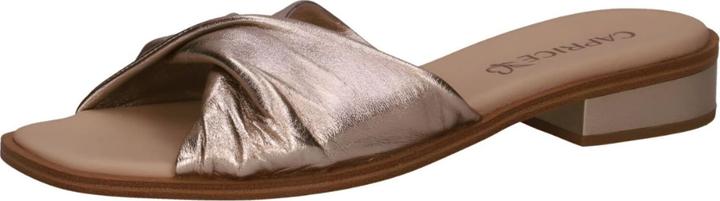 Taupe Metallic 341