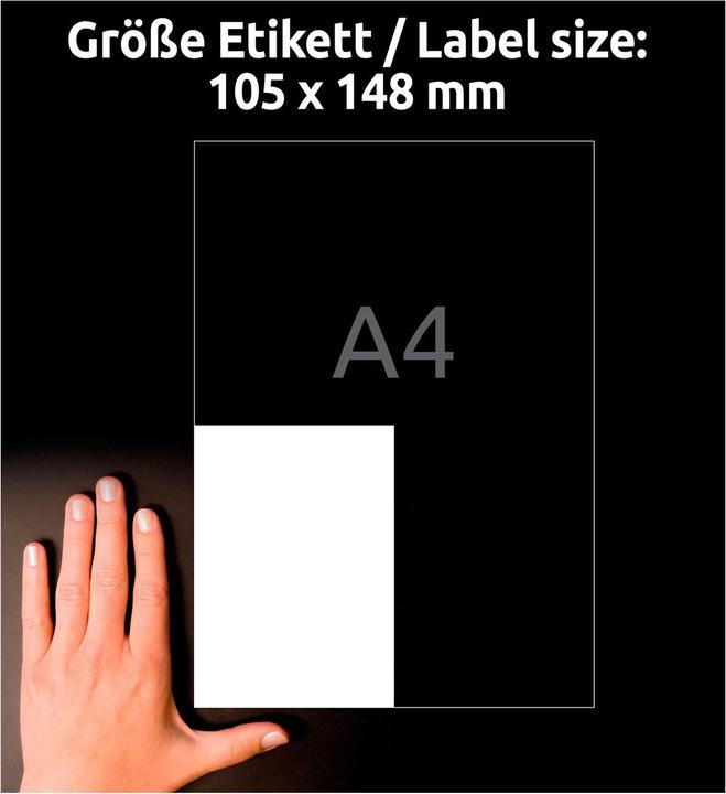Actual product image Avery Universal labels