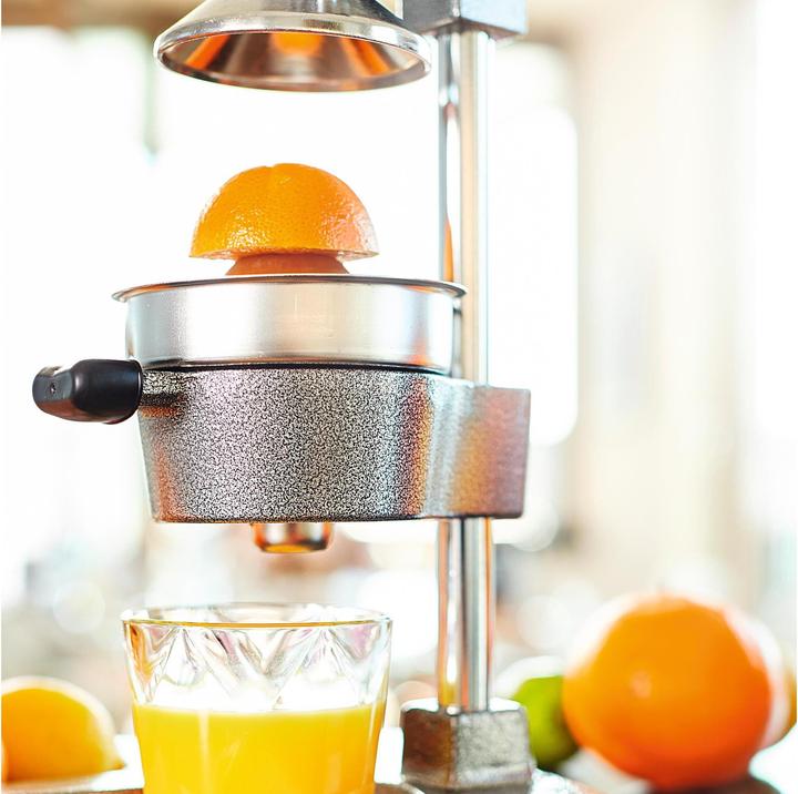 Actual product image Lumaland Juicer