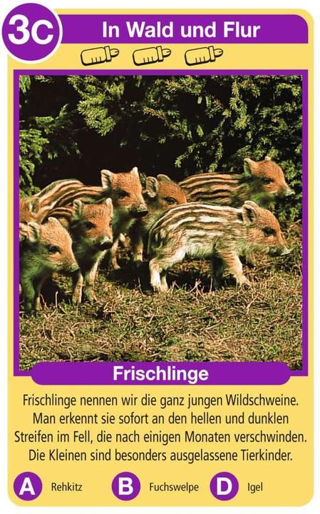 Produktbild Ravensburger Tierkinder (Deutsch)