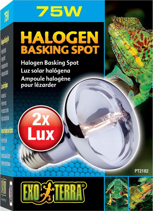 Image du produit Exo Terra Sun Glo lampe halogène lumière du jour 75W (UVB, UVA)