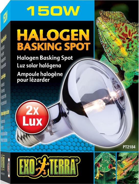 Actual product image Exo Terra Sun Glo Daylight Halogen Lamp 150W (UVA)