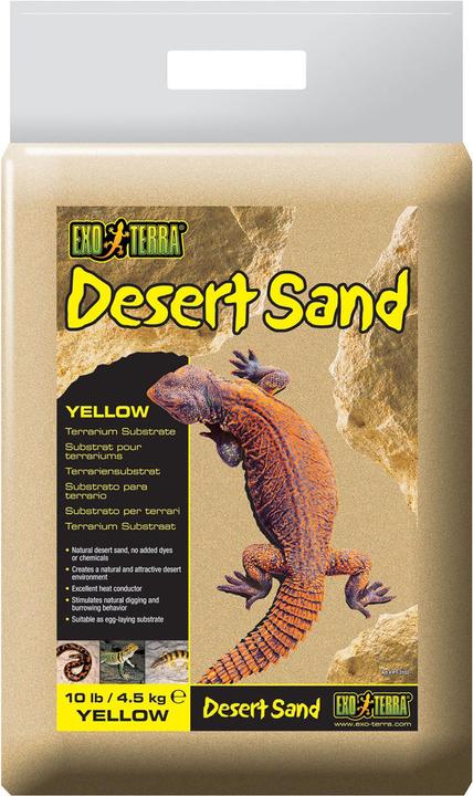Exo Terra Desert