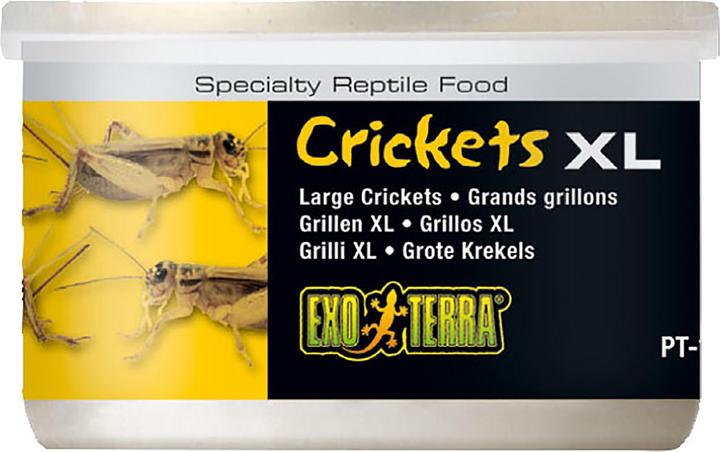Exo Terra Cibo per rettili Grilli XL 34g (1 x, 0.03 kg)