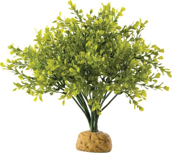 Exo Terra Buxusstruik