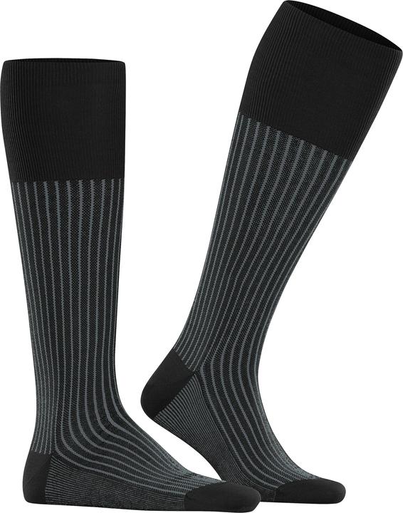 Actual product image Falke Oxford Stripe Men Knee-high Socks (41 - 42)