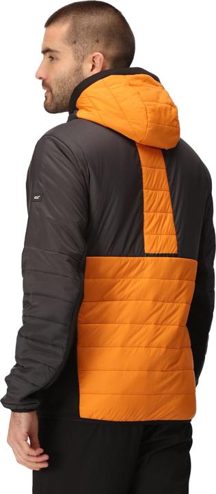 Image du produit Regatta - Veste matelassée TRUTTON - Homme (M)