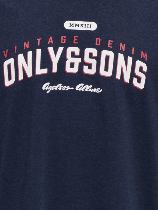 Produktbild Only & Sons Junior Osjlenny Life Reg Vintage Tee Jrs Noos (110)