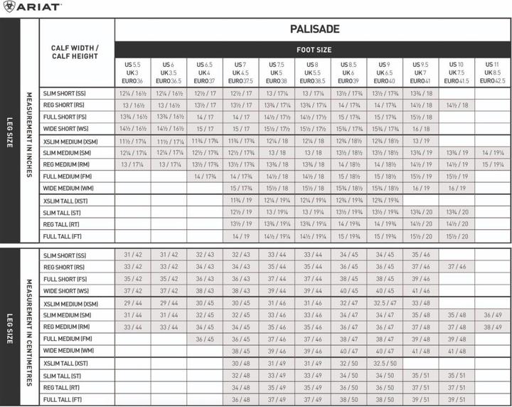 Produktbild Ariat Reitstiefel Palisade (39)
