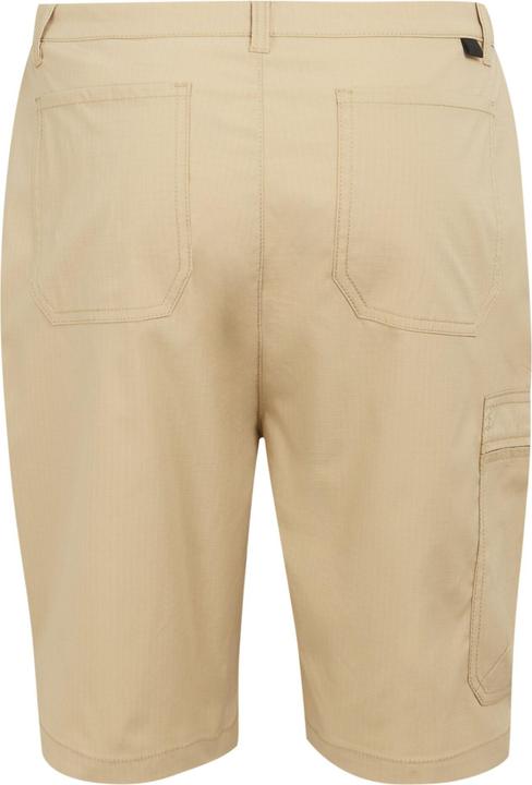Actual product image Regatta Mens Dalry Multi Pocket Shorts (33)