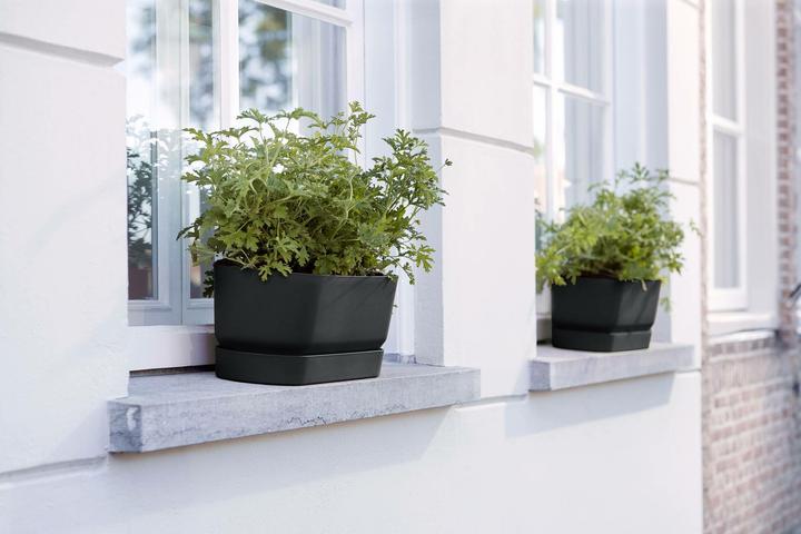Produktbild Elho Greenville (19.50 cm)