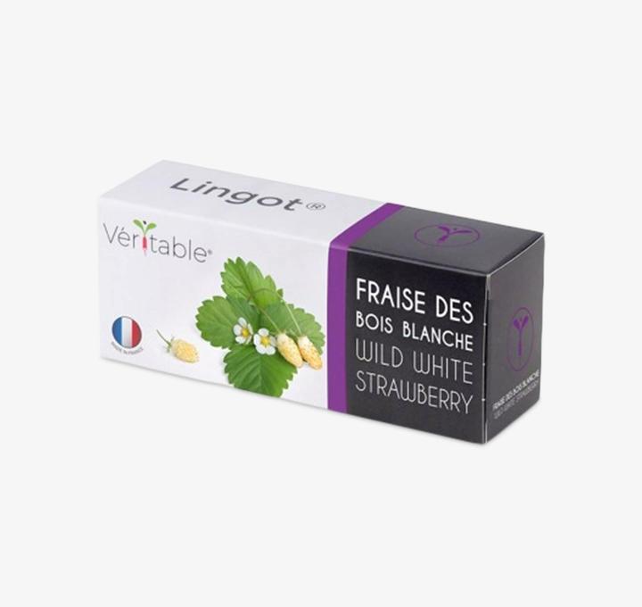 Actual product image Véritable Lingot white wild berries BIO (Fruit seed)