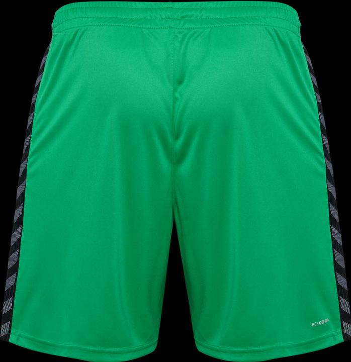 Image du produit hummel Hmlauthentic Pl Shorts (S)