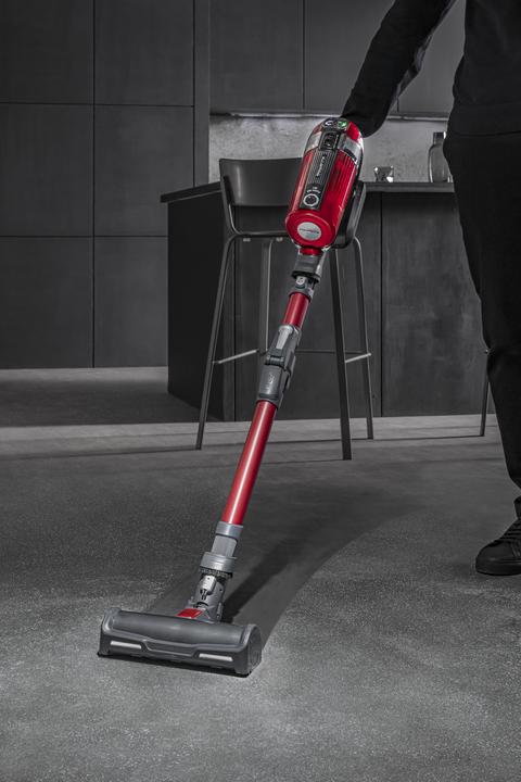 Produktbild Rowenta X-Force Flex 11.60 Animal
