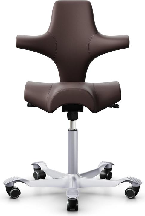 Actual product image HAG Capisco 8106