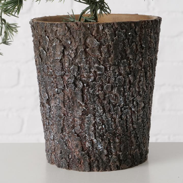 Produktbild Boltze Home Zeder (64 cm)