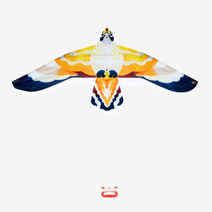 Actual product image Tribord Flugdrachen statisch Kinder - MFK150 Vogel
