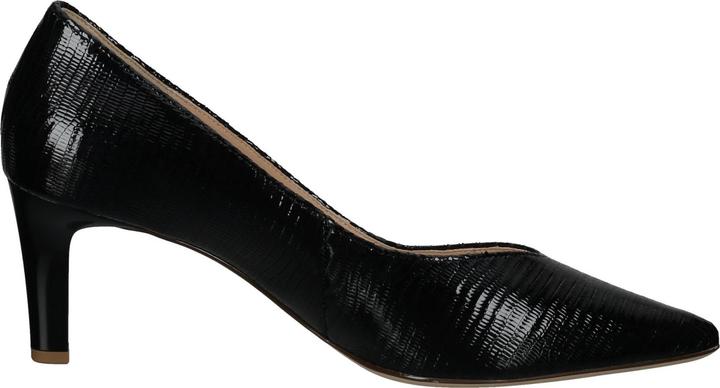 Image du produit Högl Pumps (35)